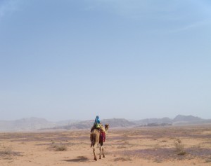 Wadi Ram on Camel
